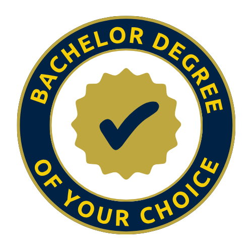 Bachelor degree of your choice