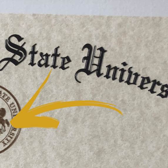 Replacement College Diplomas and Transcripts 6 raised text and art printing services 1